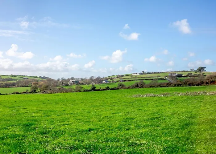 Bwythyn-Y-Wennol